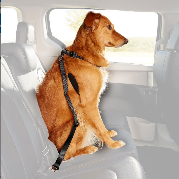 Pet Treater Dog Safety Seat Belt By Wear
